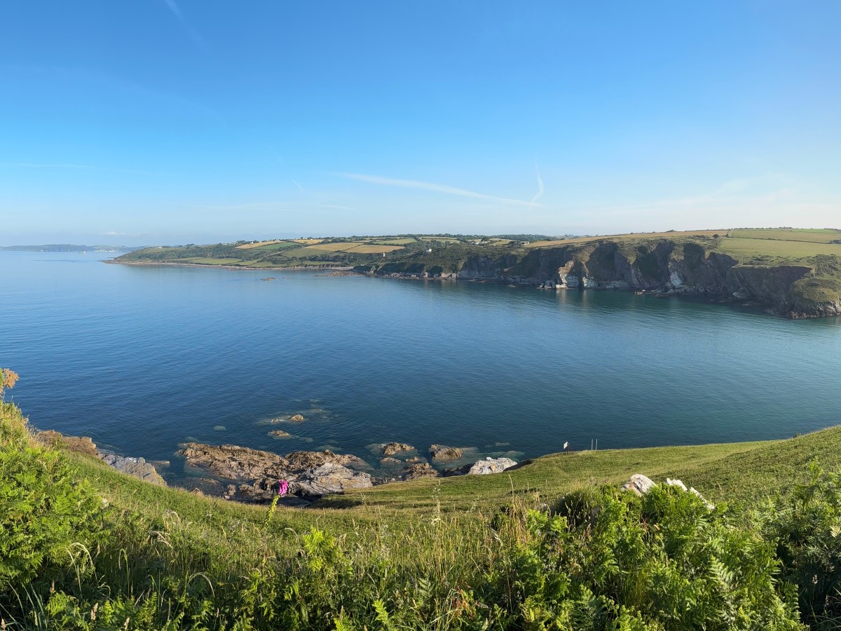 The Myth Which Is Called&nbsp;Momentum