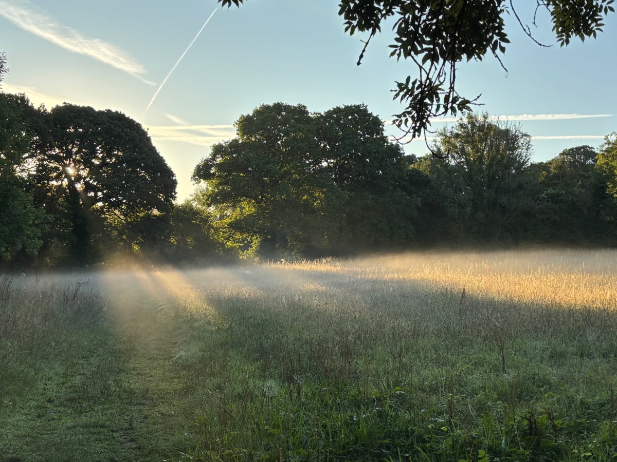 The Christmas Countdown