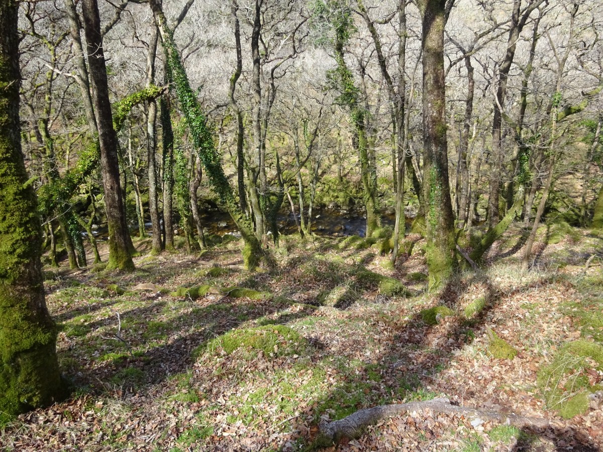 Are You Leading Today… or Just Getting Through&nbsp;It?