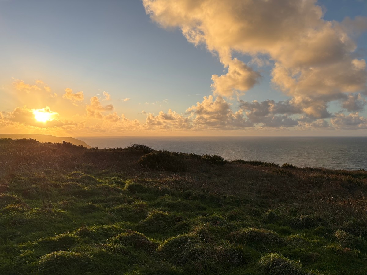 A small Christmas Experiment (no quitting&nbsp;required)